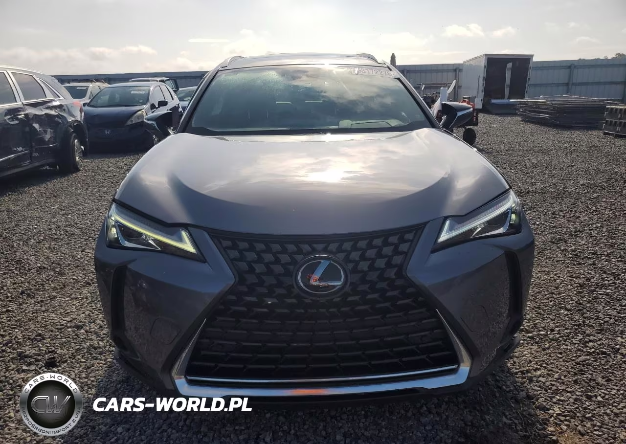 2019 Lexus Ux 200 VIN:JTHY3JBH3K2013432 - 5