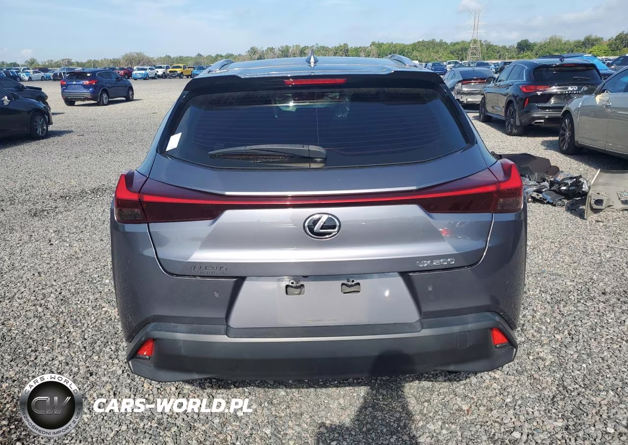2019 Lexus Ux 200 VIN:JTHY3JBH3K2013432 - 6