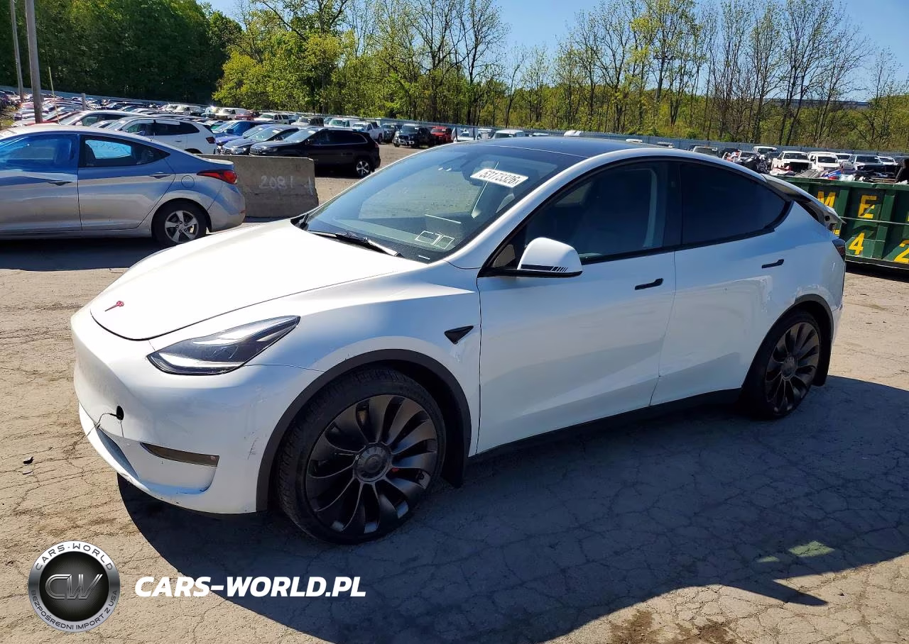 2023 Tesla Y