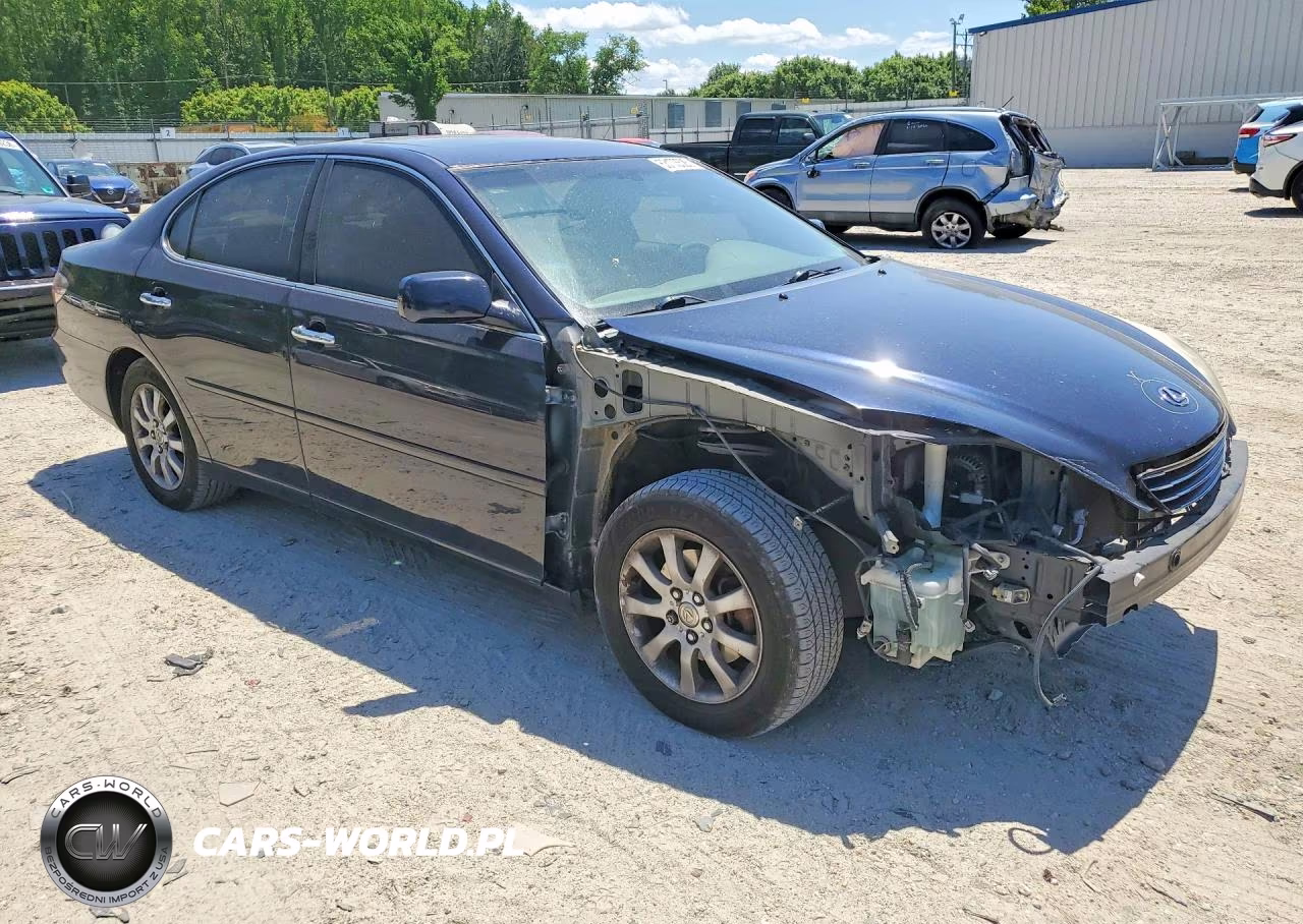 2004 Lexus Es 330 VIN:JTHBA30G645037694 - 4