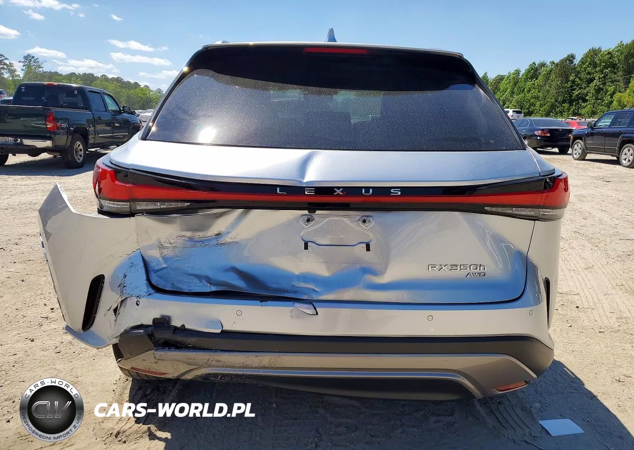 2023 Lexus Rx 350H Premium VIN:2T2BBMCA7PC009238 - 6