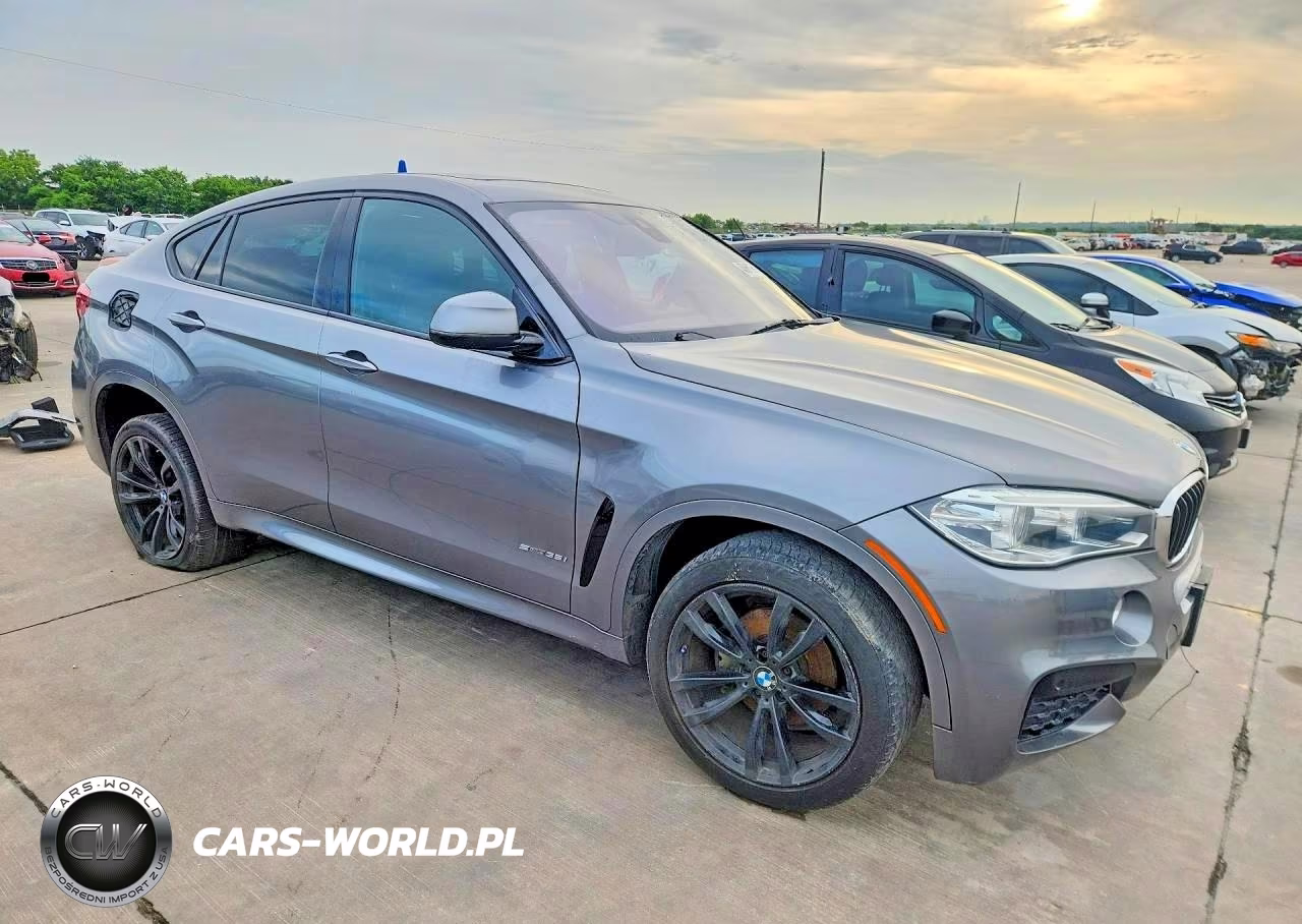 2019 BMW X6 Sdrive35I VIN:5UXKU0C59K0S97436 - 4