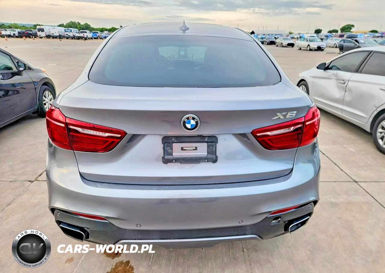 2019 BMW X6 Sdrive35I VIN:5UXKU0C59K0S97436 - 6