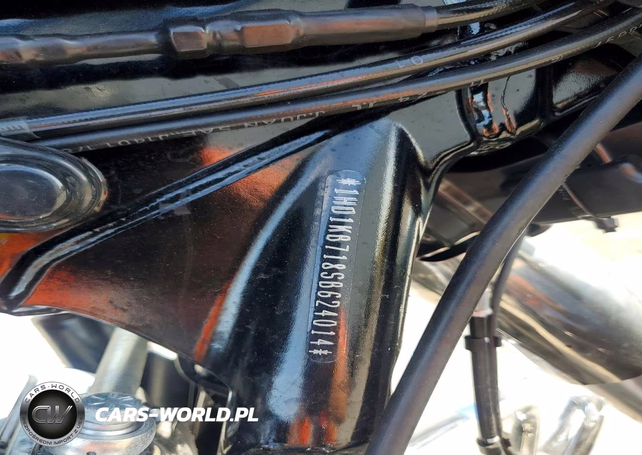 2025 Harley-Davidson Flhx VIN:1HD1KB718SB624014 - 9