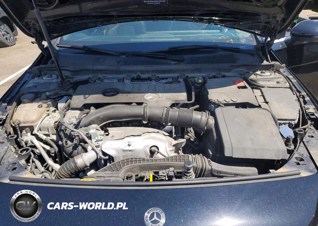 2019 Mercedes-Benz A 220 4Matic VIN:WDD3G4FB4KW018130 - 11