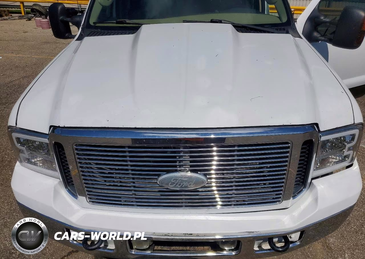 2006 Ford F250 Super Duty VIN:1FTSW21P76EC20391 - 11