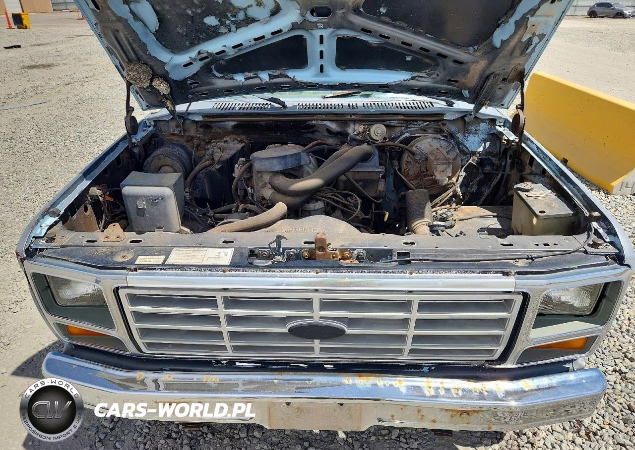 1986 Ford F250 VIN:1FTEF26N7GPB11780 - 11