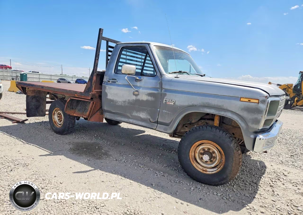 1986 Ford F250 VIN:1FTEF26N7GPB11780 - 4