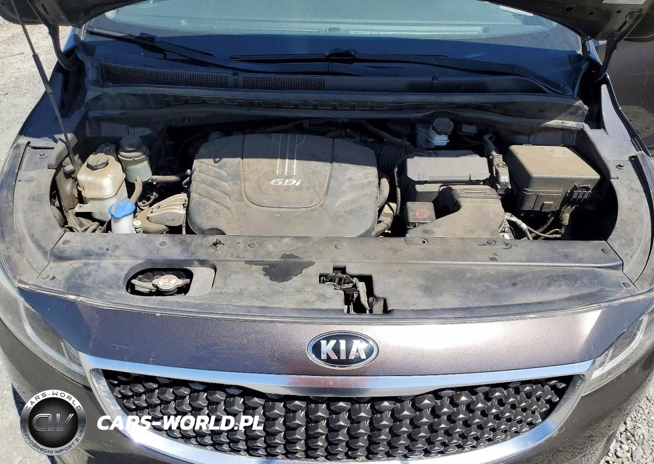 2016 Kia Sedona Lx VIN:KNDMB5C18G6151446 - 12