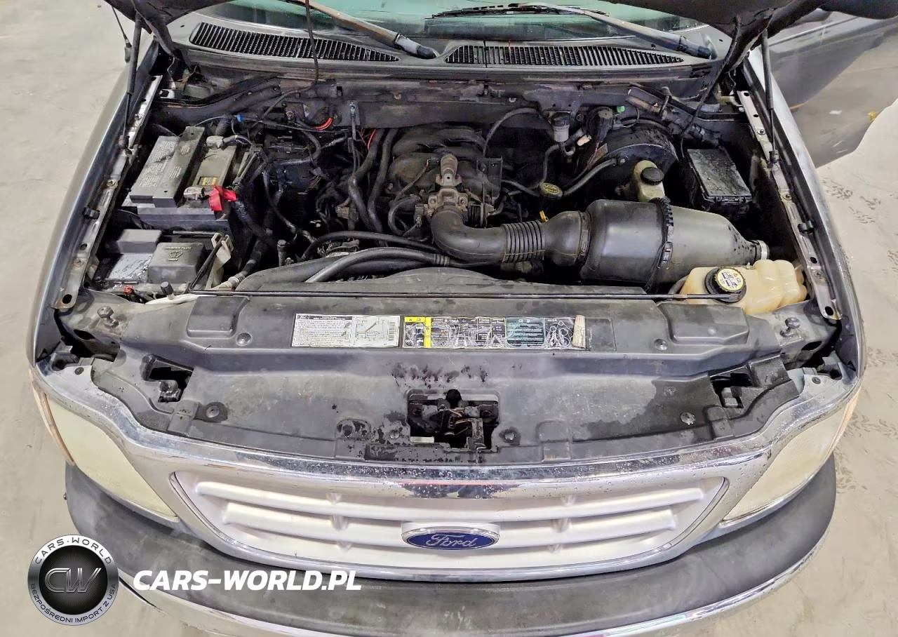 2002 Ford F150 VIN:1FTRF17292KE39904 - 11