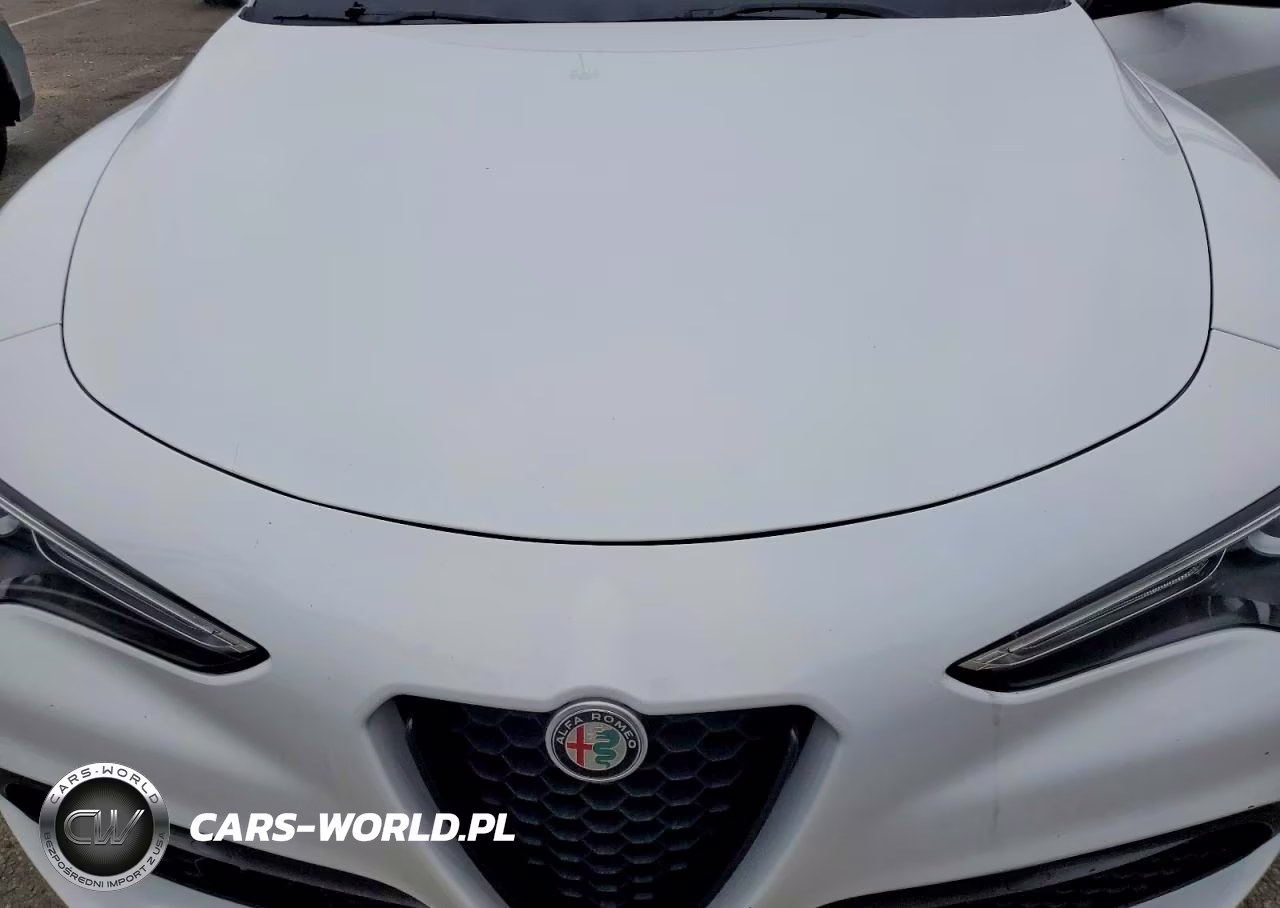 2022 Alfa Romeo Stelvio VIN:ZASPAKAN1N7D36831 - 12