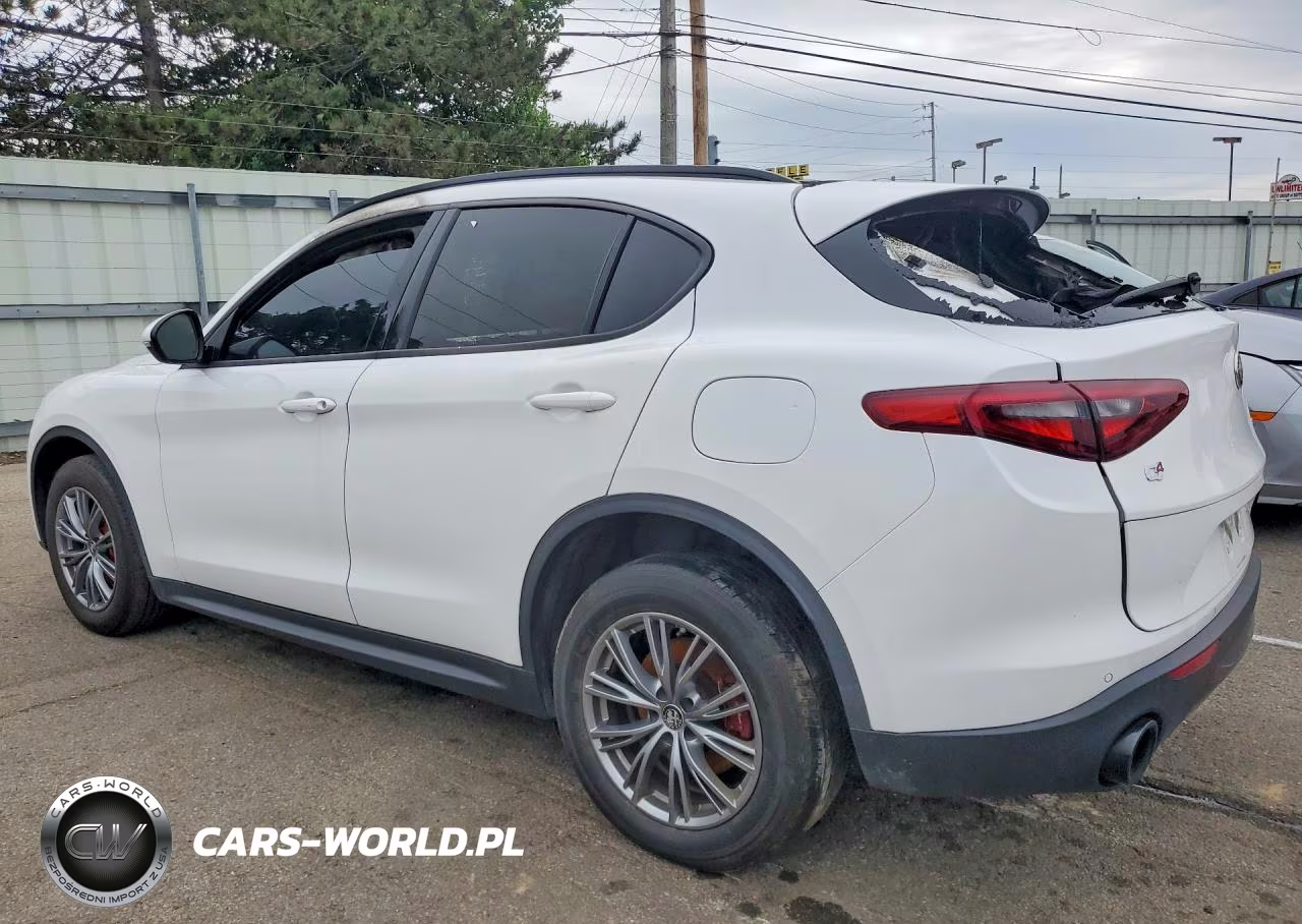 2022 Alfa Romeo Stelvio VIN:ZASPAKAN1N7D36831 - 2