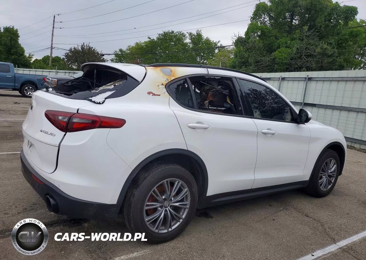 2022 Alfa Romeo Stelvio VIN:ZASPAKAN1N7D36831 - 3