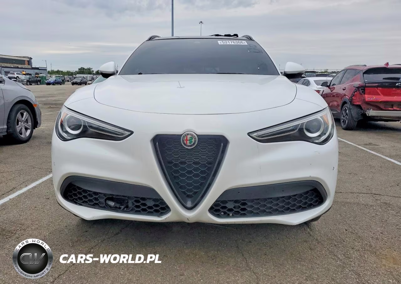 2022 Alfa Romeo Stelvio VIN:ZASPAKAN1N7D36831 - 5