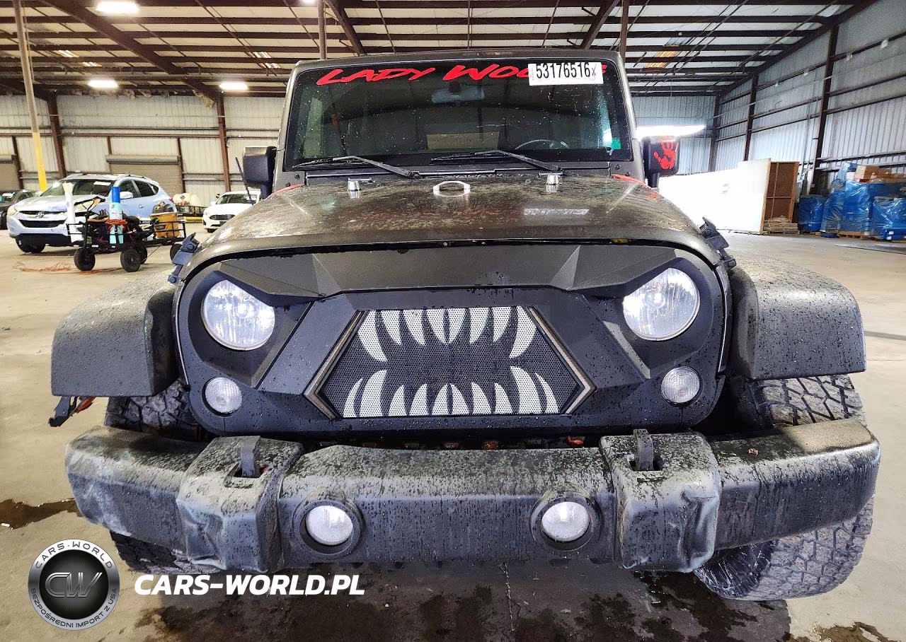 2017 Jeep Wrangler Unlimited Sport VIN:1C4BJWDG4HL587619 - 5