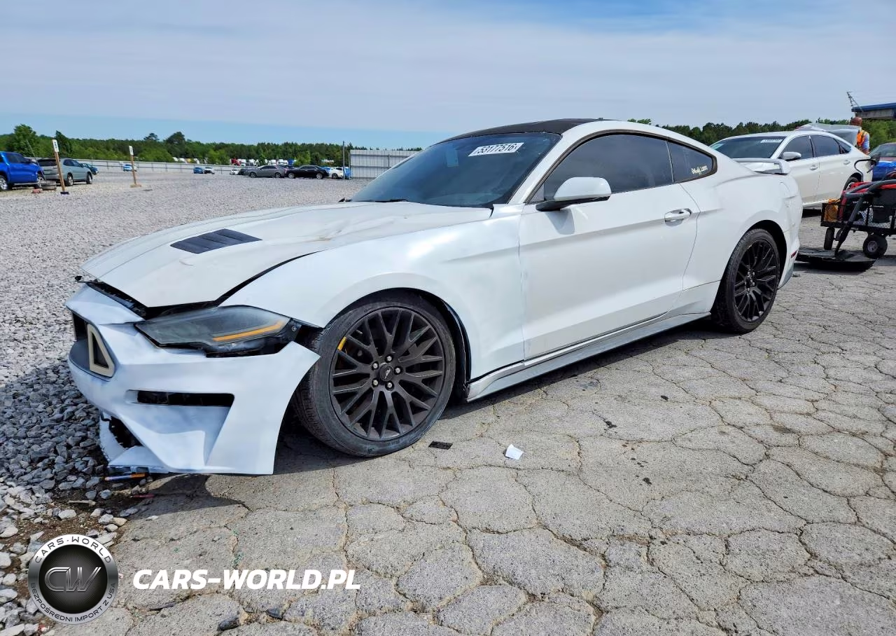 2019 Ford Mustang Gt