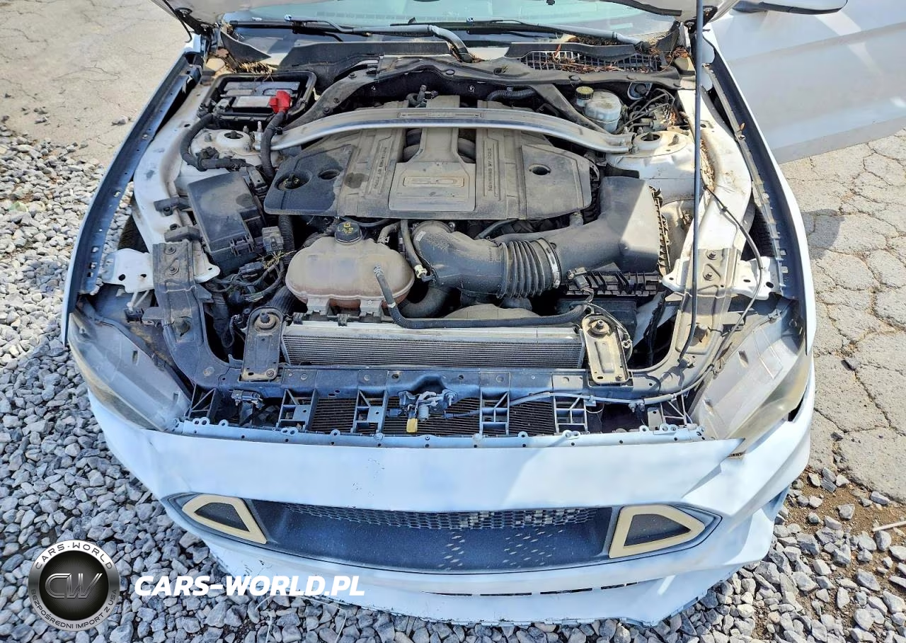 2019 Ford Mustang Gt VIN:1FA6P8CF3K5175374 - 11