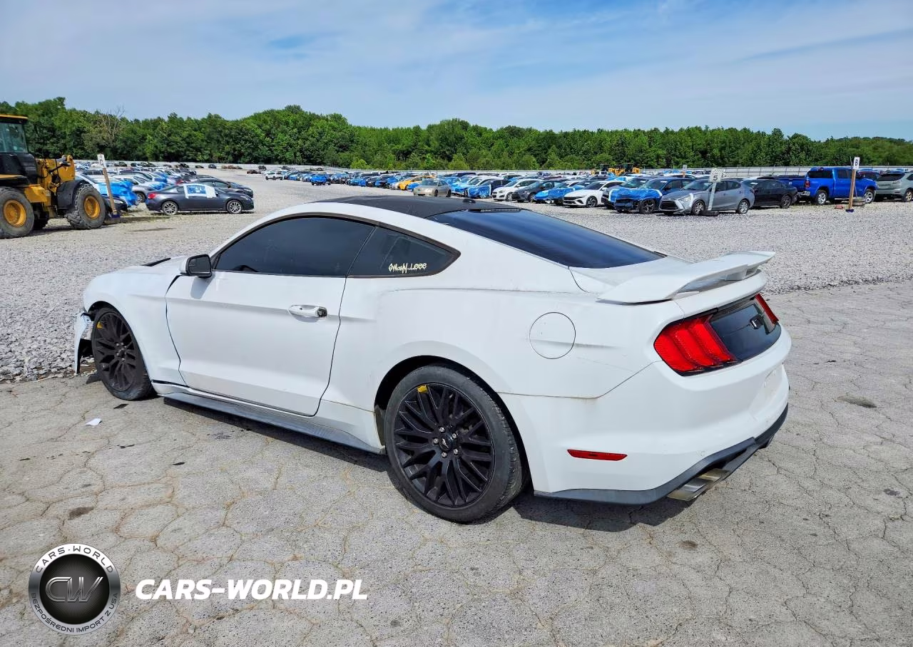2019 Ford Mustang Gt VIN:1FA6P8CF3K5175374 - 2