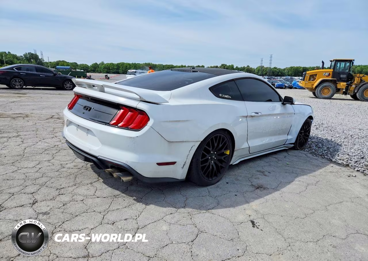 2019 Ford Mustang Gt VIN:1FA6P8CF3K5175374 - 3
