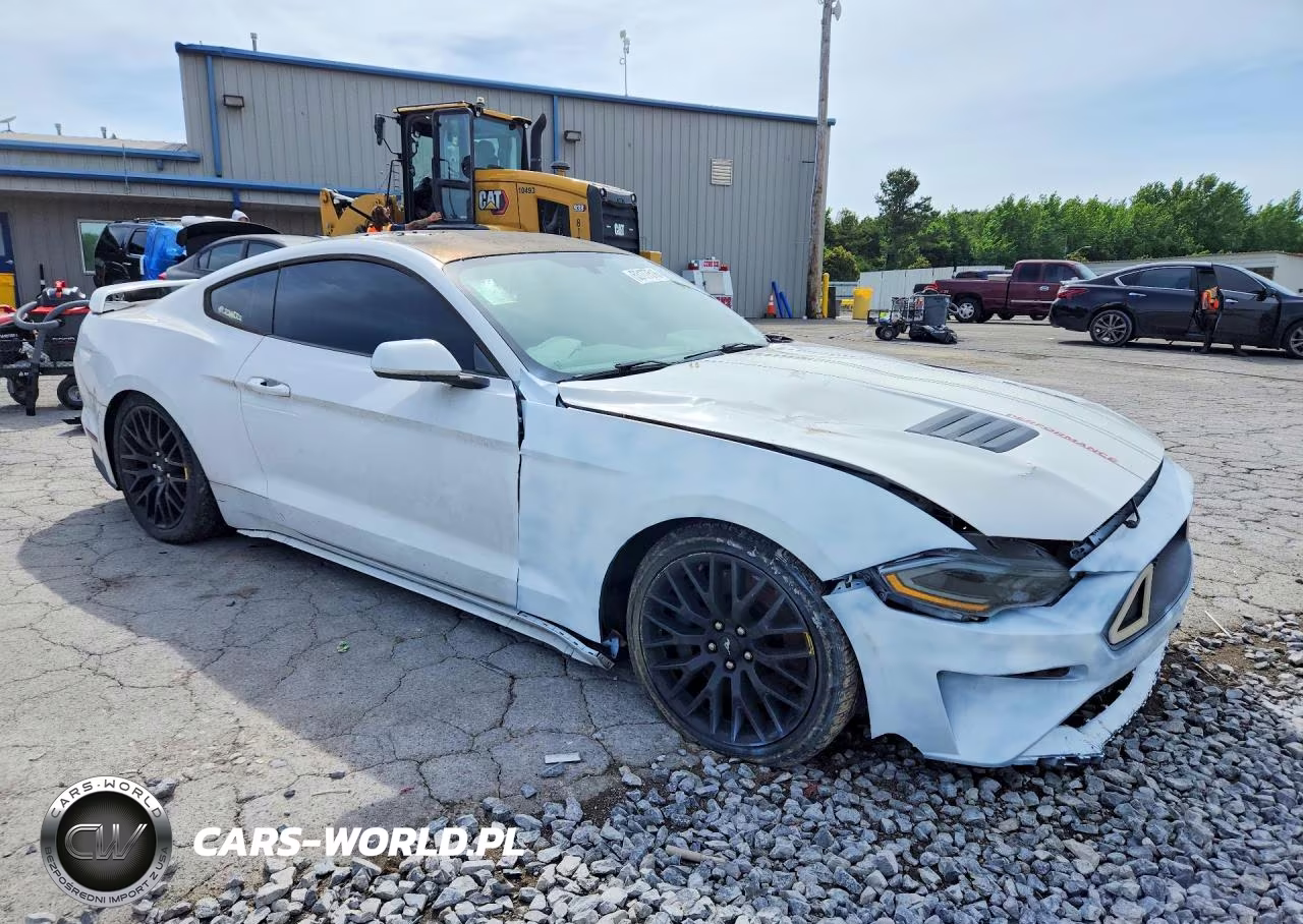 2019 Ford Mustang Gt VIN:1FA6P8CF3K5175374 - 4