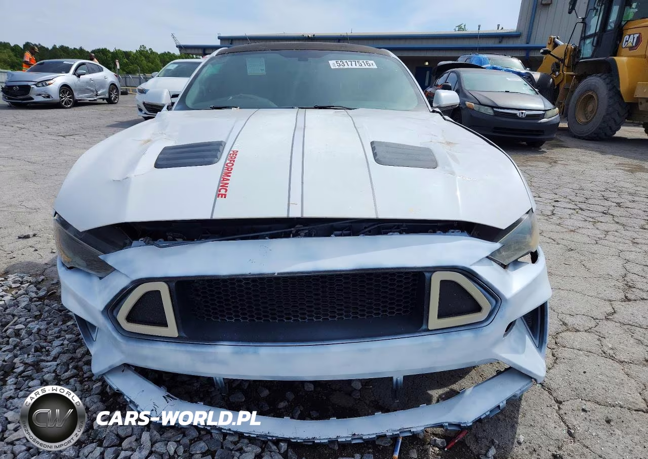 2019 Ford Mustang Gt VIN:1FA6P8CF3K5175374 - 5
