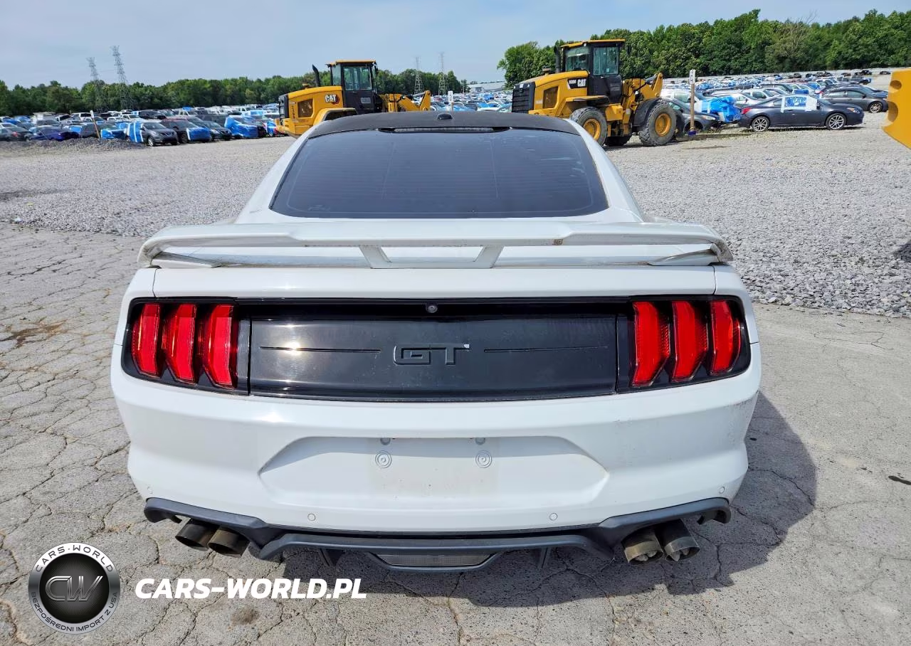 2019 Ford Mustang Gt VIN:1FA6P8CF3K5175374 - 6