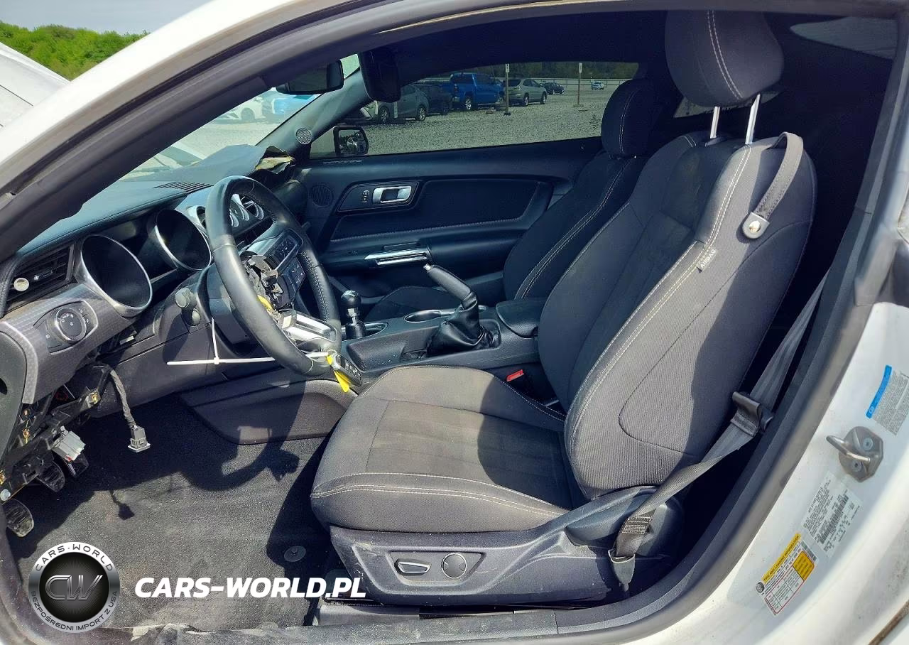 2019 Ford Mustang Gt VIN:1FA6P8CF3K5175374 - 7
