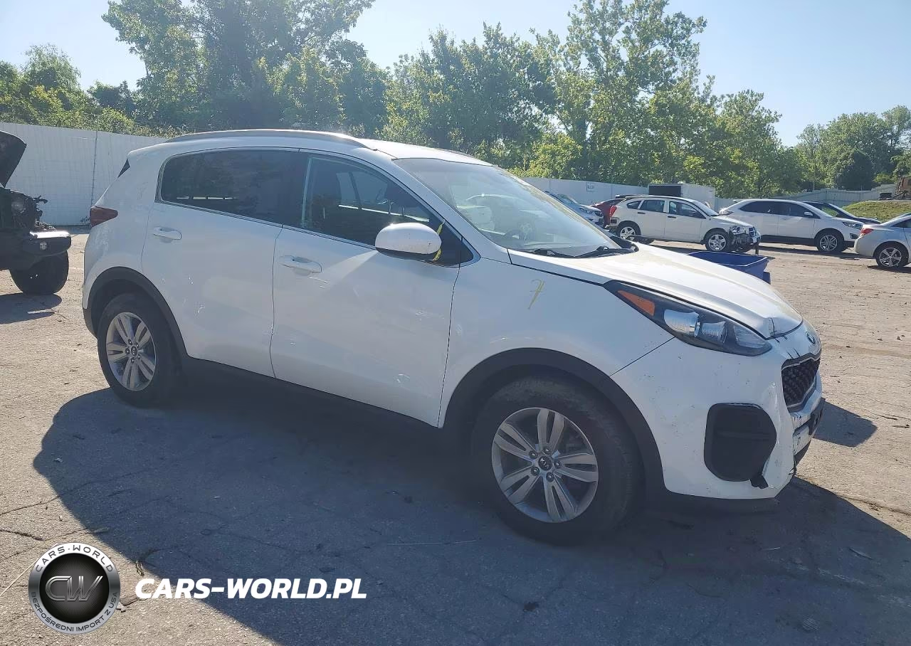 2017 Kia Sportage Lx VIN:KNDPM3AC0H7234123 - 4