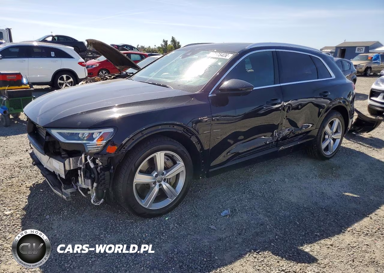 2019 Audi E-Tron Prestige