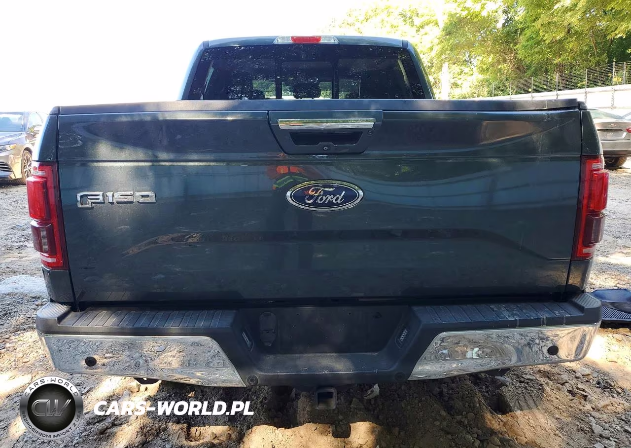 2015 Ford F150 Supercrew VIN:1FTEW1CG5FFA01928 - 6
