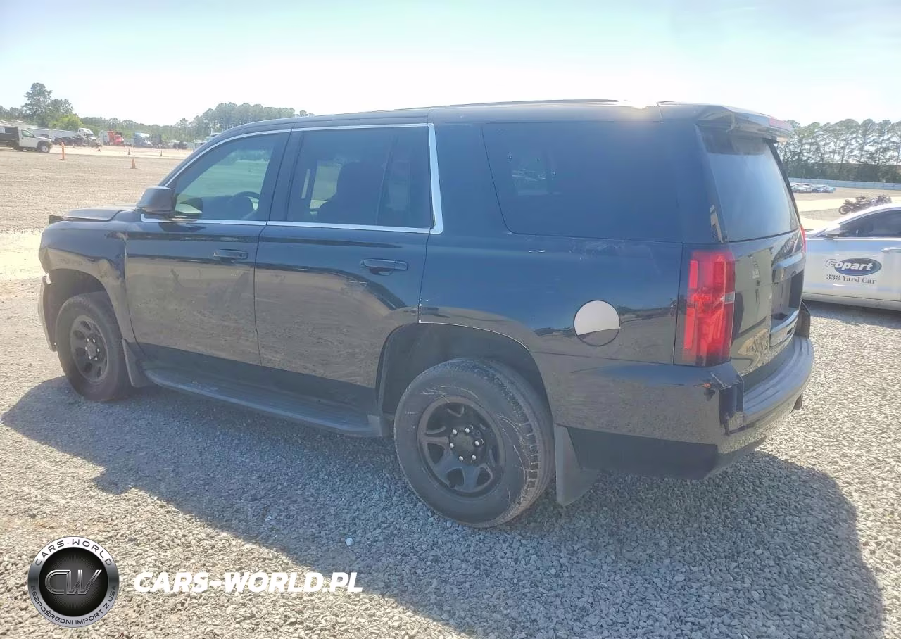 2019 Chevrolet Tahoe Police VIN:1GNLCDEC3KR143108 - 2