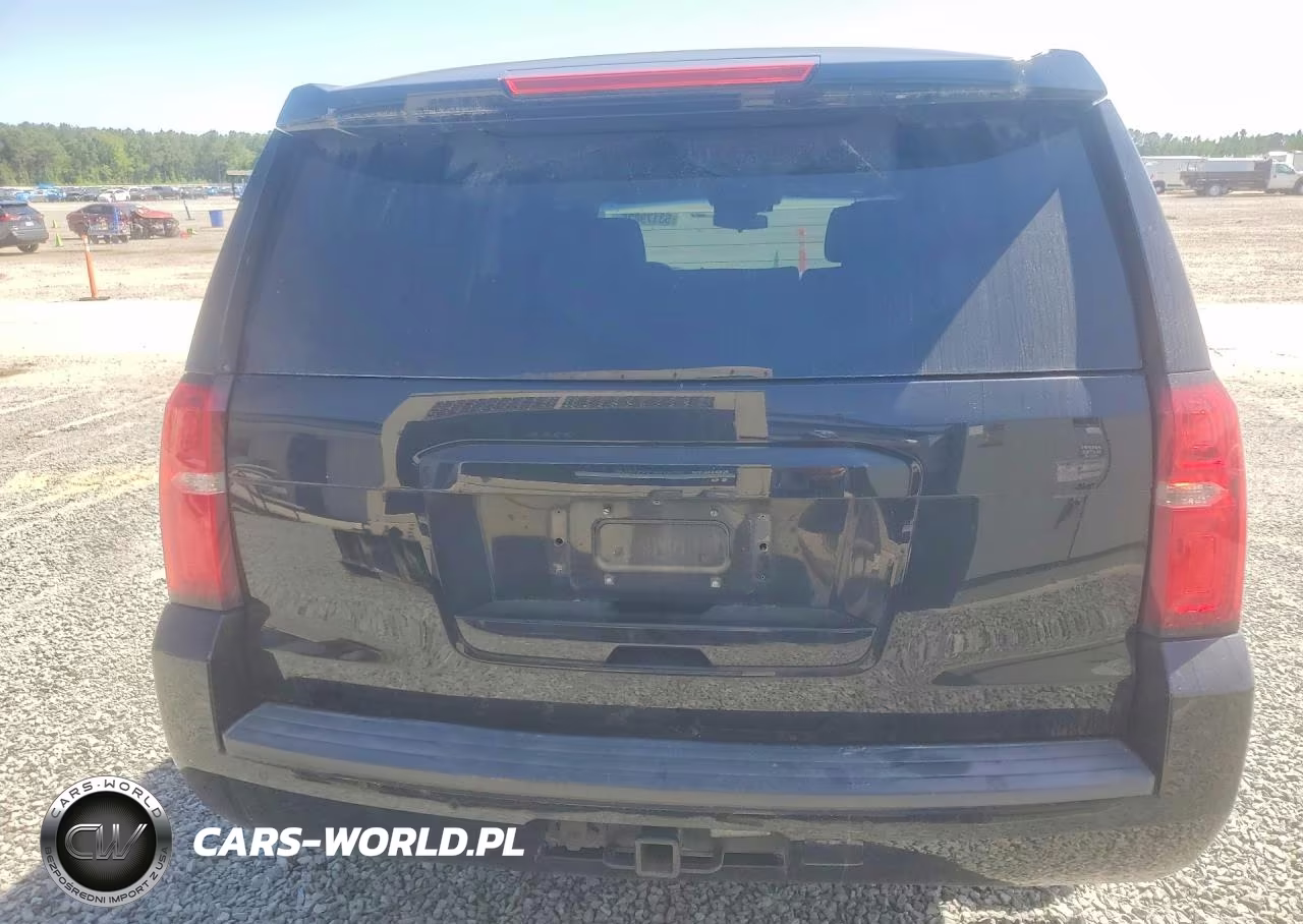2019 Chevrolet Tahoe Police VIN:1GNLCDEC3KR143108 - 6