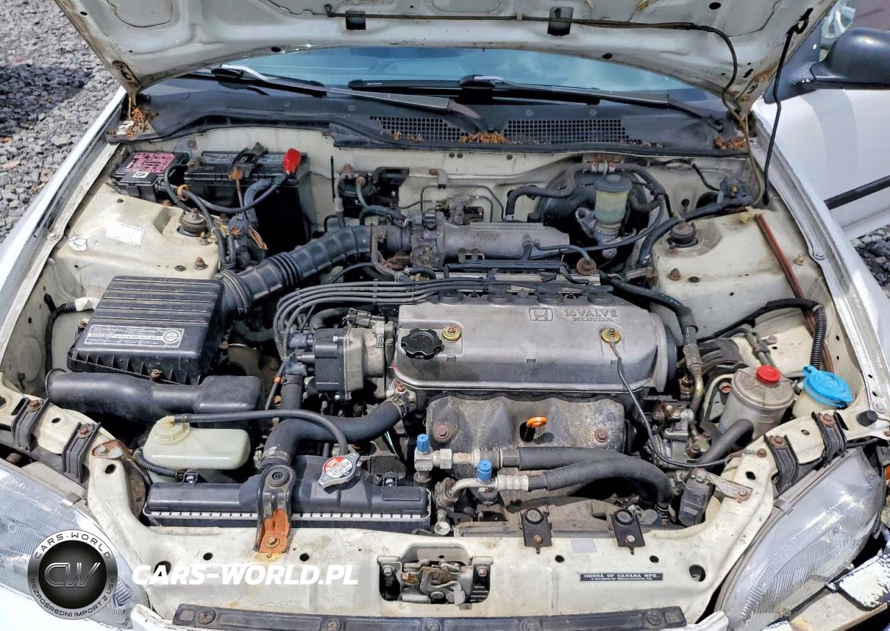 1994 Honda Civic Dx VIN:2HGEH2469RH512293 - 11