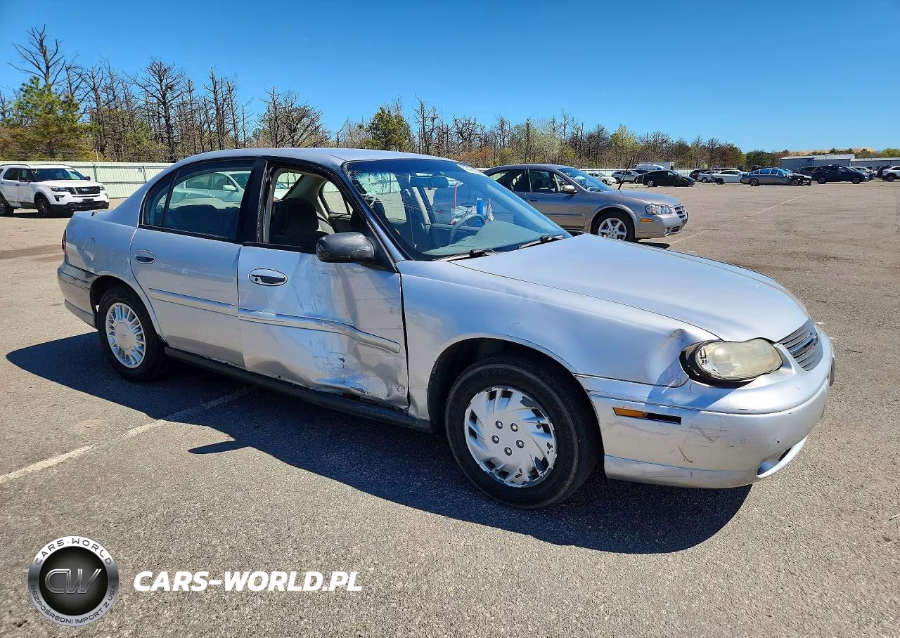 2004 Chevrolet Malibu Ls VIN:1G1ND52F44M710454 - 4