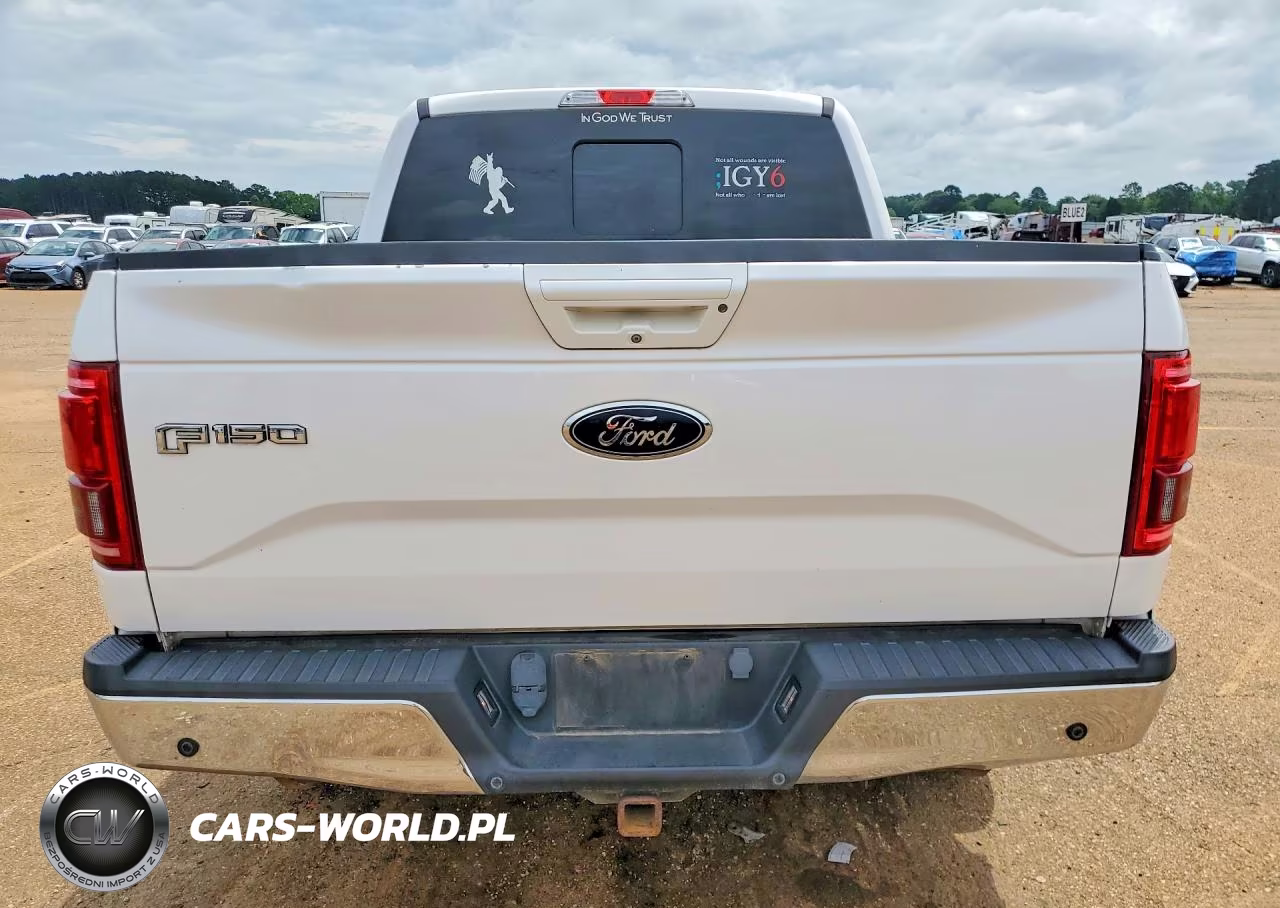 2015 Ford F150 Supercrew VIN:1FTEW1EG9FKD96233 - 6