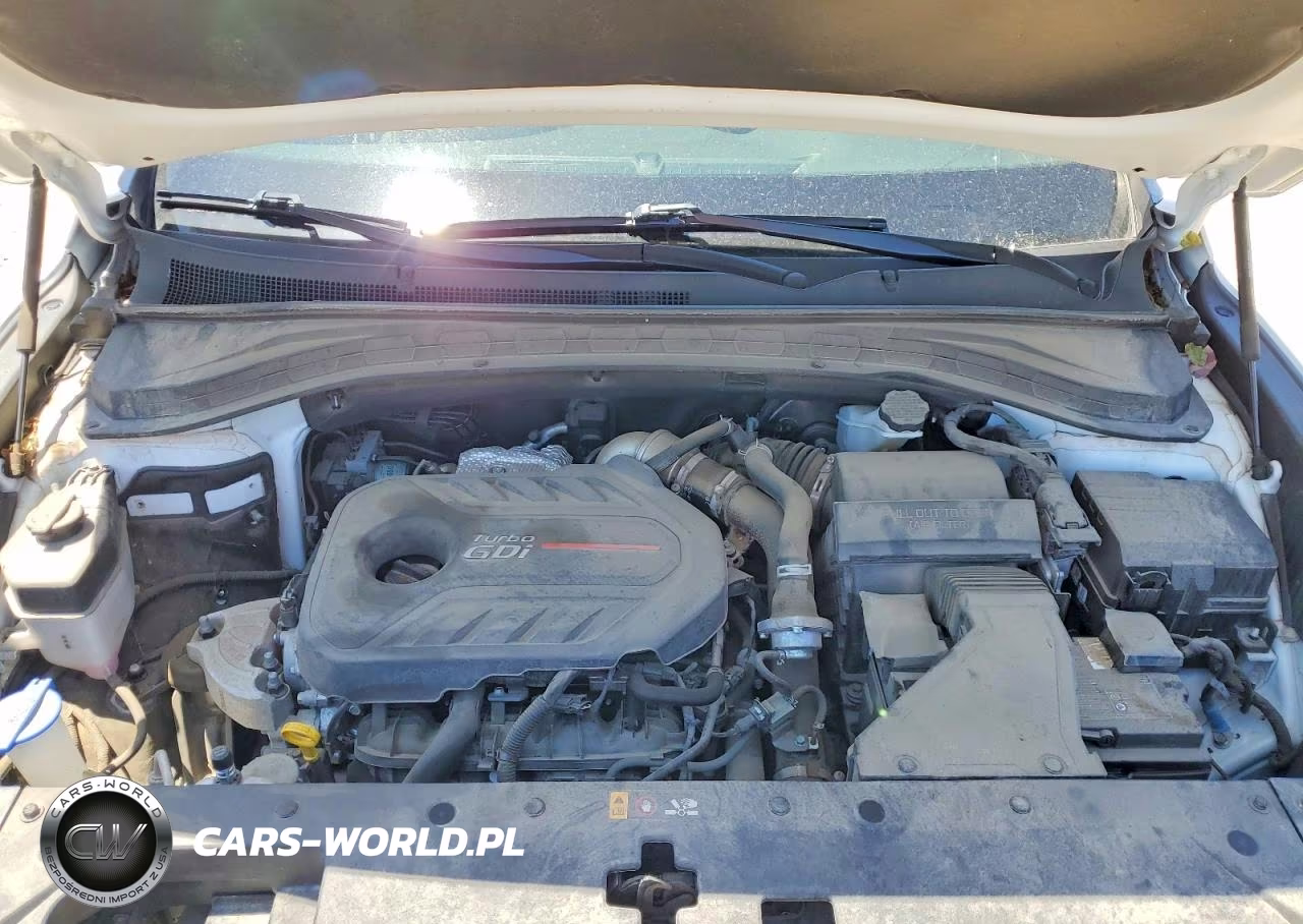 2020 Hyundai Santa Fe Sel 2.0T VIN:5NMS3CAA2LH299570 - 12