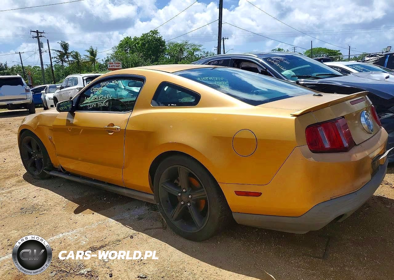 2010 Ford Mustang Gt VIN:1ZVBP8CHXA5164717 - 2