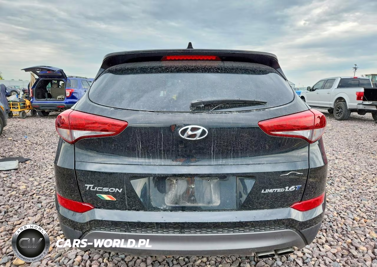 2016 Hyundai Tucson Limited VIN:KM8J33A28GU201382 - 6