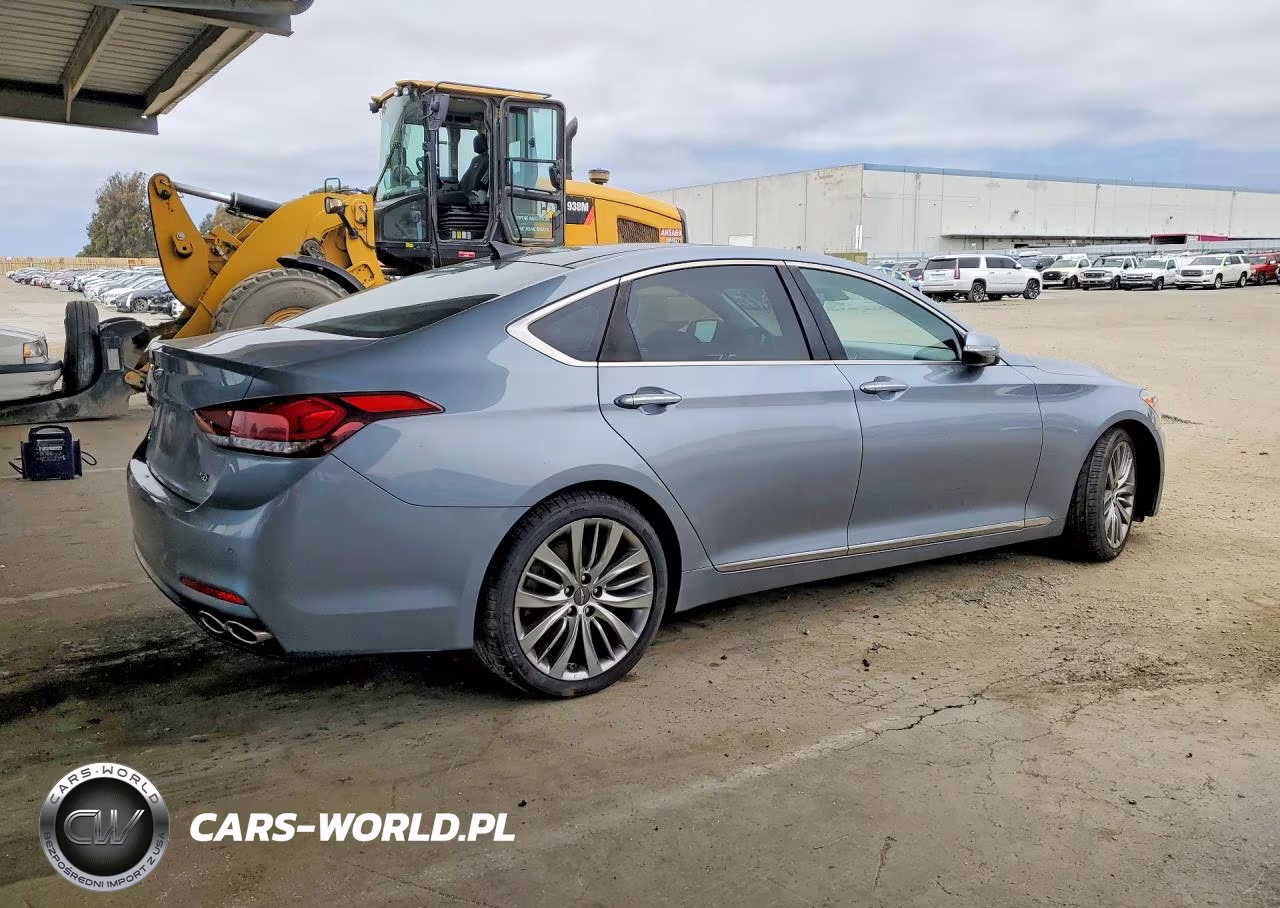 2017 Genesis G80 Ultimate VIN:KMHGN4JF5HU181266 - 3