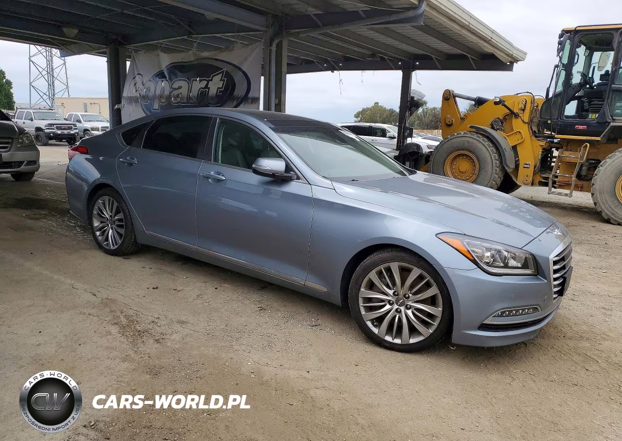 2017 Genesis G80 Ultimate VIN:KMHGN4JF5HU181266 - 4