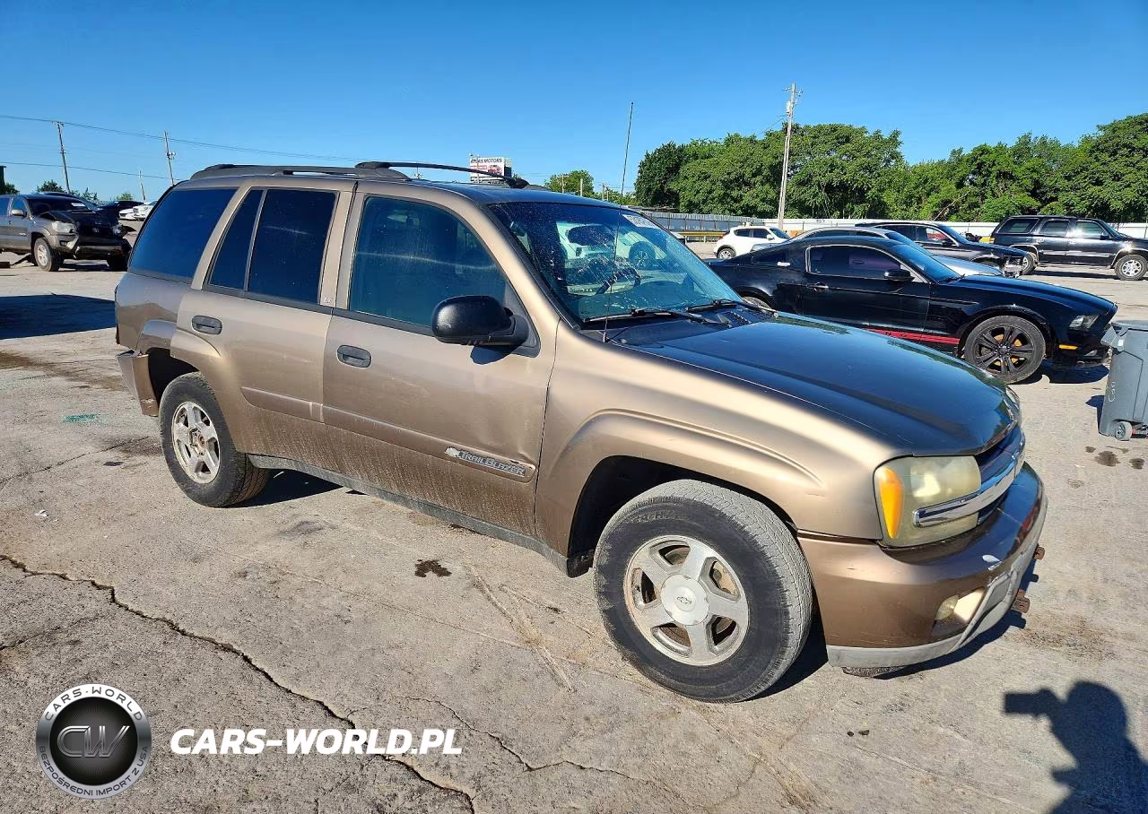 2003 Chevrolet Trailblazer VIN:1GNDT13SX32326349 - 4