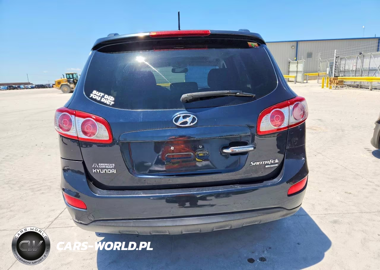 2010 Hyundai Santa Fe Limited VIN:5NMSK4AGXAH375563 - 6