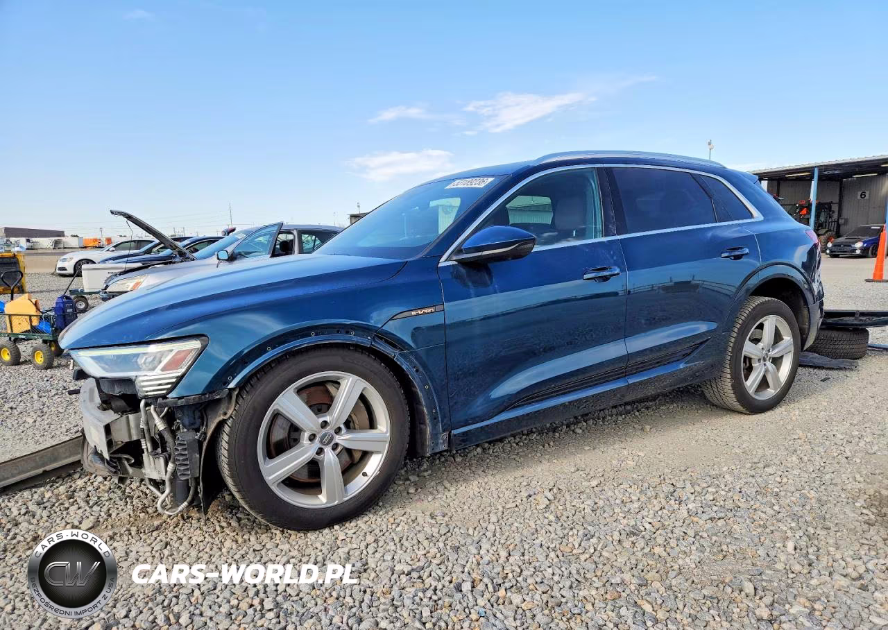 2019 Audi E-Tron Premium Plus