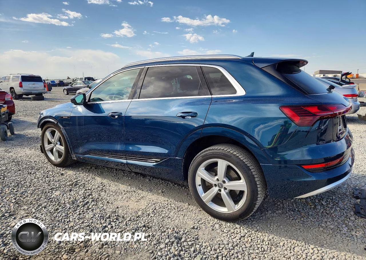 2019 Audi E-Tron Premium Plus VIN:WA1LABGE3KB015343 - 2