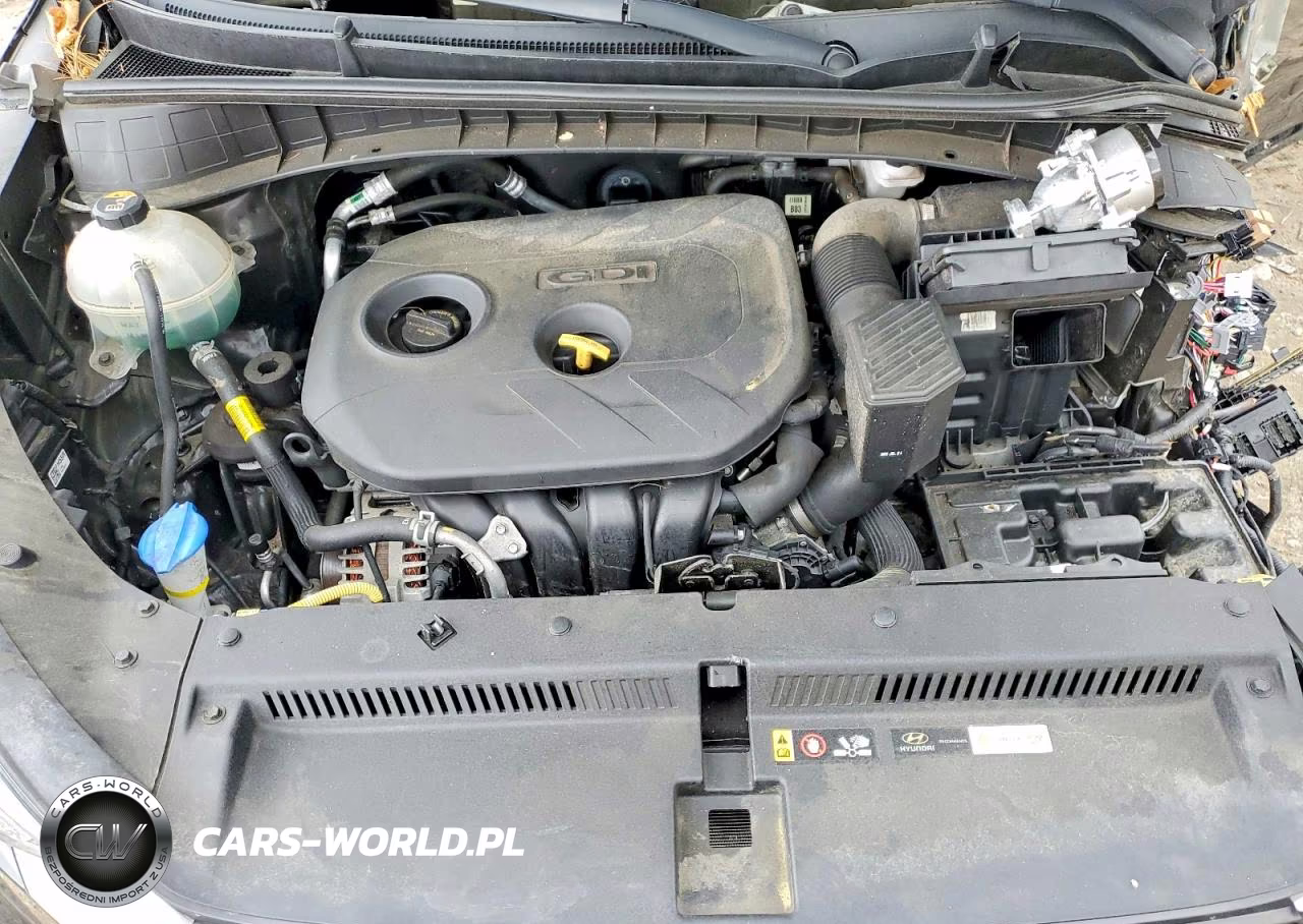 2019 Hyundai Tucson Se VIN:KM8J2CA45KU064687 - 12