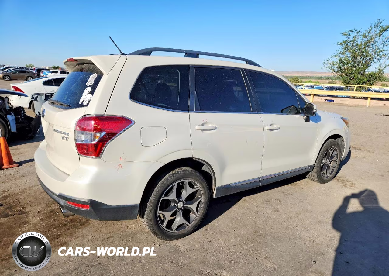 2015 Subaru Forester 2.0Xt Touring VIN:JF2SJGUC0FH545632 - 3
