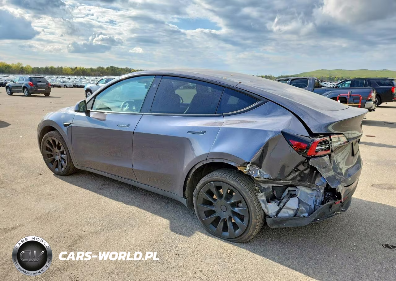 2023 Tesla Model Y VIN:7SAYGDEE9PA155622 - 2