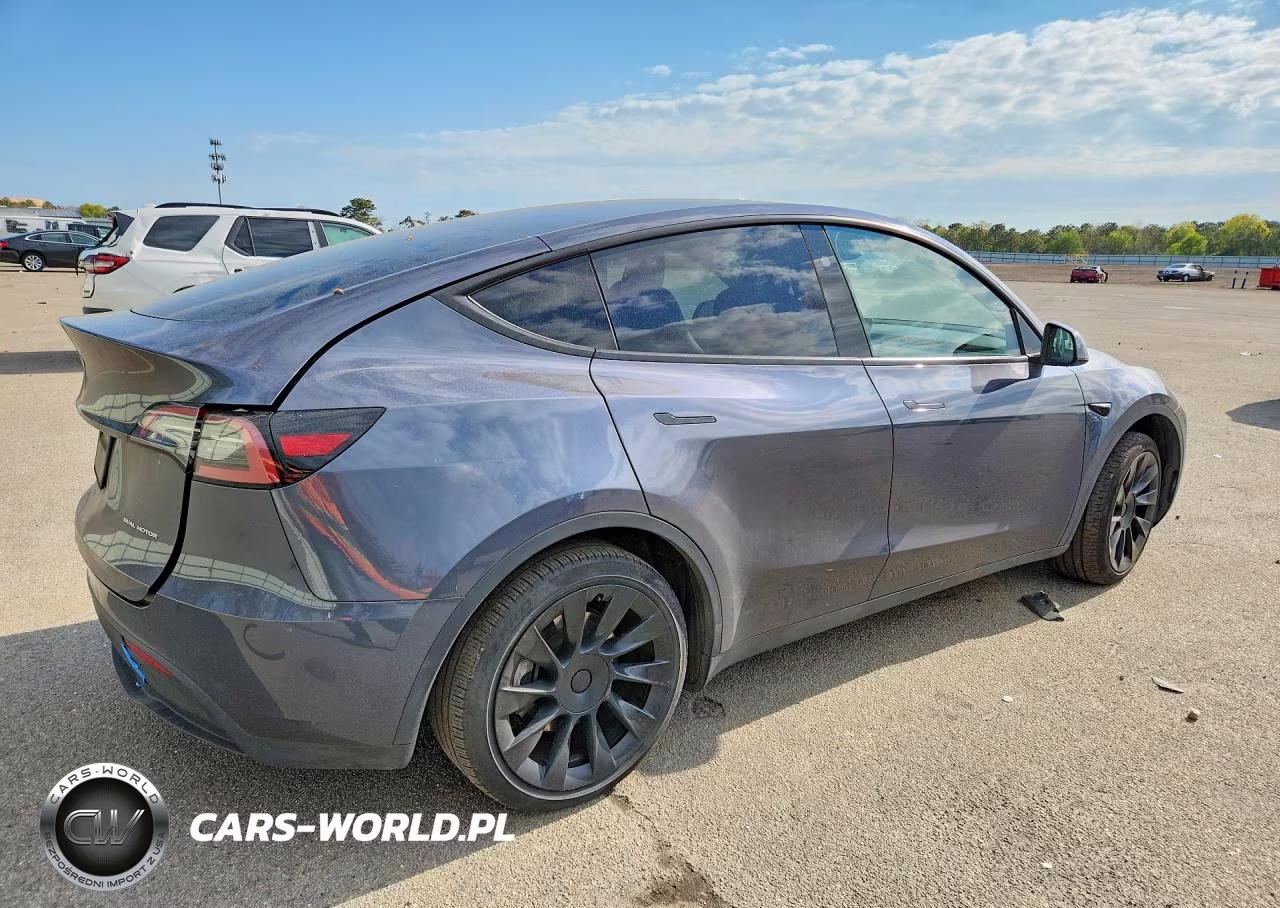 2023 Tesla Model Y VIN:7SAYGDEE9PA155622 - 3