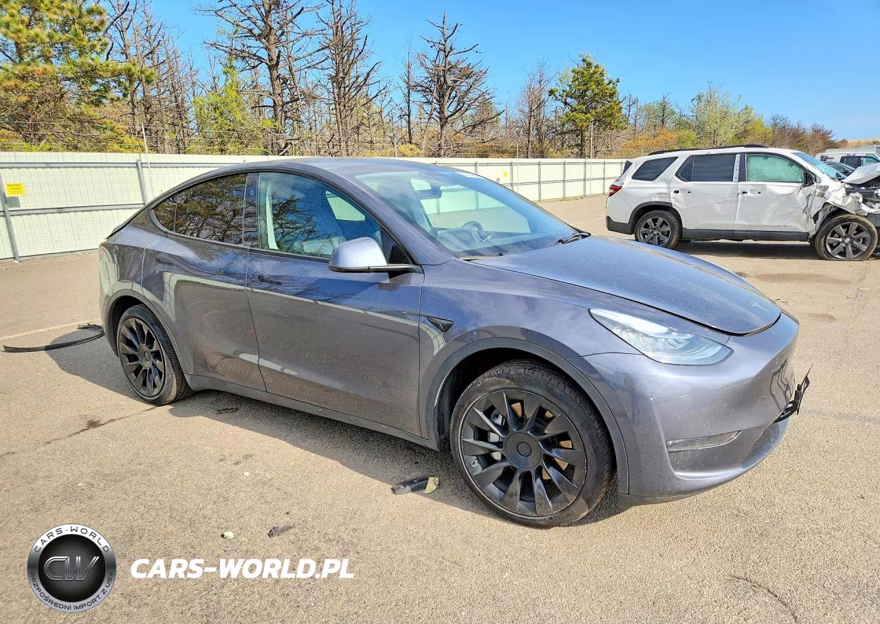 2023 Tesla Model Y VIN:7SAYGDEE9PA155622 - 4