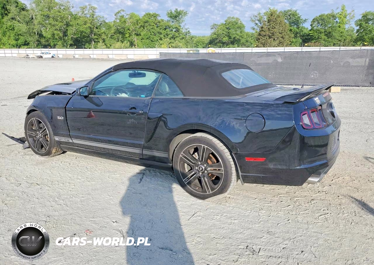 2013 Ford Mustang Gt VIN:1ZVBP8FF4D5237496 - 2